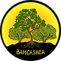 BamCashea